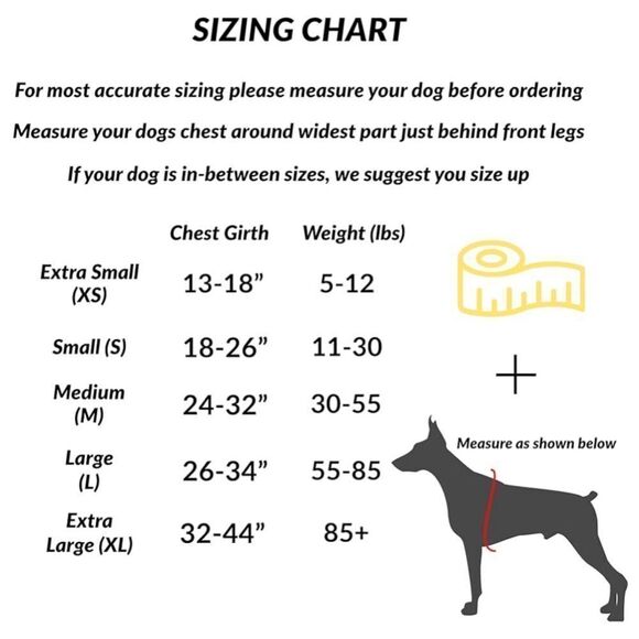 ShawnCo Essential Dog Harness, No-Pull, No Choke, Reflective, Adjustable Medium - Picture 5 of 8